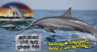 කොළඹ කුණු පුත්තලමට ගෙන ඒමට විරෝධය