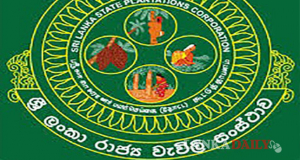 රාජ්‍ය වැවිලි සංස්ථාවට නව ව්‍යාපෘතියක්