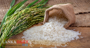 රට සහල් අවශ්‍ය නෑ - හෙක්ටර් කොබ්බෑකඩුව ගොවි කටයුතු පර්යේෂණ හා පුහුණු කිරීමේ ආයතනය
