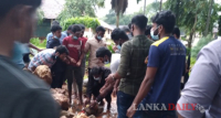 යාපනයේ කඩා දැමු ස්මාරකය යළි පිහිටුවයි
