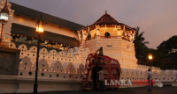 දළදා මාලි­ගා­වේ අලුත් සහල් මංග­ල්‍යය හෙට
