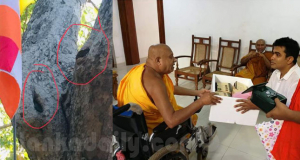 ශ්‍රී මහබෝධින් වහන්සේ රැකගන්න කටයුතු කළ කර්නල්ට එරෙහිව හමුදාවෙන් විනය පරීක්ෂණයක්..