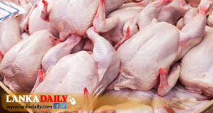 මෙරටින් චීනයට කුකුළු මස්