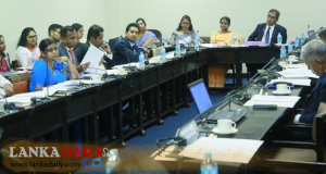 ලොකු ළූණු සහ අර්තාපල් සඳහා බදු වැඩි කිරීමට අනුමැතිය