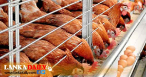 ආපදා හේතුවෙන් ගොවිපල ඇතුළු සත්ව පාලන ක්ෂේත්‍රයට දැඩි බලපෑම්