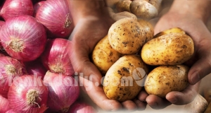 අල - ලූනු ආනයනික බදු ඉහළට