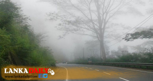 අද නුවරඑළියෙ උෂ්ණත්වය සෙල්සියස් අංශක 3.5ක්