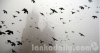 අද අපේ සිහිනය හෙට රටේ නීතිය