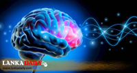 මොළයේ සෛල කන මාරාන්තික ආසාදනයක් ඉන්දියාවේ