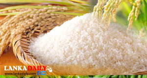 සහල් ආනයනයට ටෙන්ඩර් කැඳවීමට රජයේ අවධානය