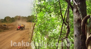 2013  දී වනසංරක්‍ෂණ දෙපාර්තමේන්තුවට ලැබුණු පැමිණිලි තවමත් විභාගයට ගෙන නෑ