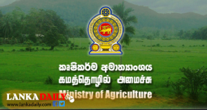 පොහොර සදහා ගොවීන්ගේ ගිණුම් වලට මුදල් !