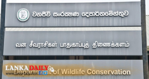 වන අපරාධ අවම කරන්න දිගුදුර විහිදුම් බළකායක්