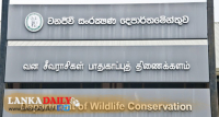 වන අපරාධ අවම කරන්න දිගුදුර විහිදුම් බළකායක්