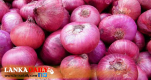 ලොකු ලූනු මිලදී ගැනීමේදී රජයෙන් කොන්දේසි 17ක්