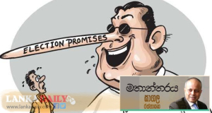 ආර්ථික හැකියාව සහ මැතිවරණ පොරොන්දු