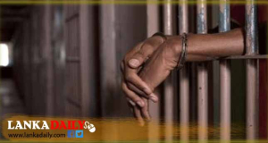 ඇතා ඝාතනයේ සැකකරුවන්ව 24වනදා දක්වා රක්ෂිත බන්ධනාගාරයට