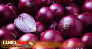 චීනයෙන් ලොකු ළුෑණු -මිළත් අඩුවෙන්න සුදානමින්