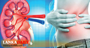 මෙරට ජනගහනයෙන් 10% ක් වකුගඩු රෝගීන්