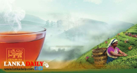 ලංකාවට එන සෑම සංචාරකයෙකුටම'' Ceylon Tea'' සිහිවටනයක් ලබා දීමට සැරසේ