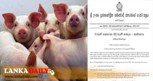 සූකර උණ පැතිරීම වැළැක්වීමට අති විශේෂ ගැසට් නිවේදනයක්