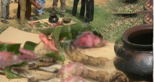 මුව මස් බව පෙන්වීමට කනයි කකුලයි ප්‍රදර්ශණයට තියලා.