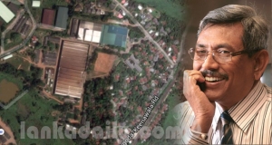 ගෝඨා, වේයන්ගොඩ මිනිස්සු අනතුරේ දාපු හැටි
