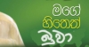 රනිල් එක්ක ජපන් යන්න හැදුව 'මගේ හිතෙත් බුවා' තව පොඩ්ඩෙන් ජබක්