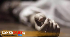 බසයෙන් ඇදවැටී කාන්තාවක් මරුට
