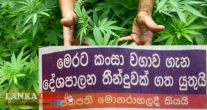ගංජා තහනම ඉවත් කිරීම ගැන ජනපතිගේ ප්‍රතිචාරය   