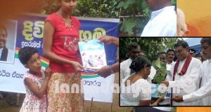 එළවළු හිඟයට බැසිල් බෙදපු පුස් බීජත් හේතුවක්