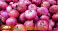 ඉන්දියාව ලොකු ළූණූ අපනයන තහනම දිගු කරයි .