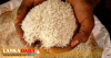 සහල් ගිනි ගණන් නිසා සහල් අලෙවිය 50% කින් පහළ වැටේ