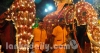 මහනුවර පෙරහැරට අලි ඇතුන් හිග වෙයිද?