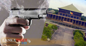 පාර්ලිමේන්තු මන්ත්‍රීවරුන්ට අමතර ගිණිඅවියක්