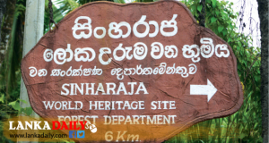 සිංහරාජයට ඇතුලූවීම තහනම් !