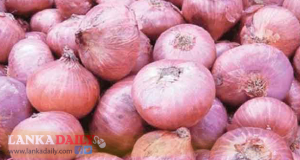 ආනයනික ලොකු ළූණු සඳහා වන බදු අඩු කෙරේ   