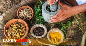 ආයුර්වේද ඖෂධ අලෙවිසල් විවෘත කිරීමට තවම අවසර නැහැ !