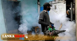 ඩෙංගු රෝගය වර්ධනය විය හැකි ප්‍රදේශවල දුමායන කටයුතු ඇරඹේ