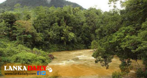කැලණි ගඟත් පිටාර මට්ටමේ - කොළඹටත් රතු එළි