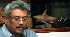 ගෝඨාගේ සම්මුඛ සාකච්ඡාව ගැන තවදුරටත්..