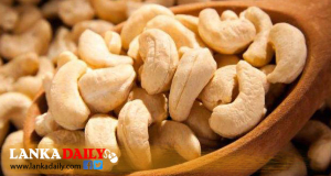 අධ්‍යක්ෂ මණ්ඩල රැස්වීම්වලදී තෙල් අධ්‍යක්ෂවරු මහජන මුදලින් කජු කති