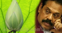 මහින්ද මල් පොහොට්ටුවේ පිහිට පතයි
