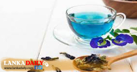 නිල් කටරොළු ජාත්‍යන්තර  වෙළෙඳපොළට