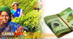 වතු කම්කරුවන්ගේ වැටුප 1000 කිරීමේ ගැසට්පත නිකුත් වේ