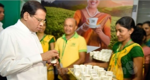 සිරිසේනගේ මතේ නිසා තේ කර්මාන්තයත් බිඳ වැටෙන ළකුණු..