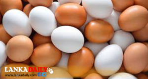 බිත්තර මිළට වේට්ටු දාන කූට සැලසුම ලීක් වෙයි