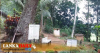වනාන්තර ආශ්‍රිතව ඔසු වන උයන් පිහිටුවීමට සැලසුම් !