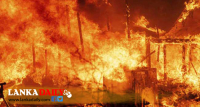 ආමර් වීදියේ ගොඩනැගිල්ලක් ගිනි ‌ගනියි...