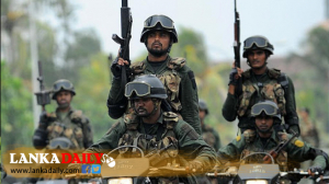වන විනාශය නවත්වන්න කඩා පනින හමුදාව යෙදවීමට තීරණ